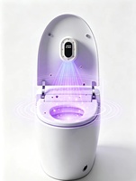 Stérilisateurs de toilettes à induction automatique avec affichage numérique LED, mini et portables, avec batterie rechargeable de 2000 mAh