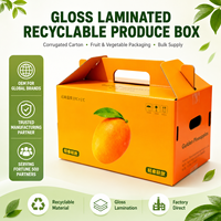 Carton ondulé à motifs personnalisés pour mangues, agrumes, raisins, fruits et légumes, écologique, recyclable, avec lamination mate et doublure en éponge