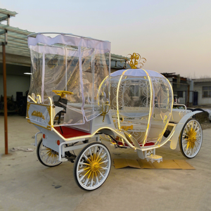 Voiture électrique citrouille à couronne dorée, frein hydraulique, suspension en acier à ressort automobile, cabine transparente, toutes saisons - Product Image 1