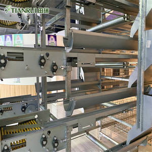 Tasarım komple kümes hayvanları tavuk çiftlik kafesi <span class=keywords><strong>Broiler</strong></span> ve damızlık için - Product Image 5