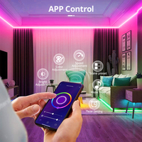 Bande lumineuse LED RGB étanche IP66 Wifi DC12V, compatible Alexa, pour la décoration de chambre et d'hôtel