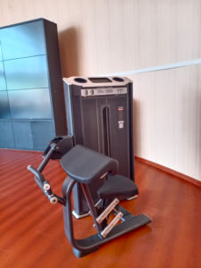 ジムフィットネス機器二頭筋カール/三頭筋エクステンションマシンボディビルディングトレーニングトレーニングトレーニングトレーニング - Product Image 3