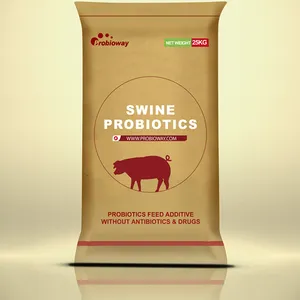 돼지 probiotics 분말 혼합 HH-SA 200 억 동물 사료 첨가제 돼지 OEM을위한 미생물