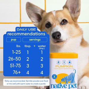 Poudre d'huile de graines de citrouille naturelle OEM/ODM pour chiens et chats, biologique, riche en fibres, complément alimentaire avec service d'étiquetage privé - Product Image 4