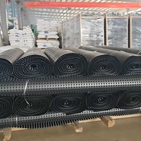 Planche de drainage alvéolée en plastique HDPE géocomposite, feuille de drainage alvéolée, membrane de fondation alvéolée