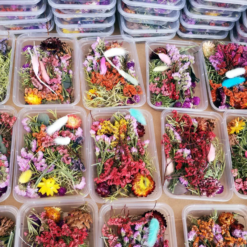 Dry Plants Pressed Flowers Making Craft DIY Accessories 1 Box Random Mix Dried Flower PlantためResin Jewelry