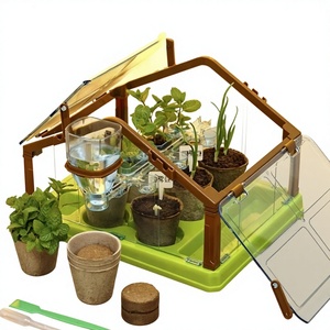 Kit de Bonsái Interior con Autorriego, Ecológico, Regalo de Año Nuevo Personalizado, Casa del Sol para Niños, Kit de Iniciación para Cultivar Plantas en Casa - Product Image 1