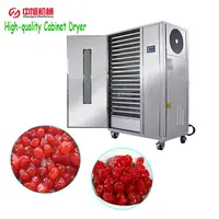 Zhongxu сушилка теплового насоса высокоэффективное вишня сушильная машина осушитель комната для сушки