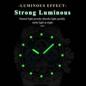 POEDAGAR 1423 Business <b>Watch</b> <b>For</b> Man Hollow Tourbillon Automatic <b>Men's</b> <b>Watches</b> Date Week <b>Mechanical</b> Stainless Steel <b>Men</b> 2026 - Product Image 5