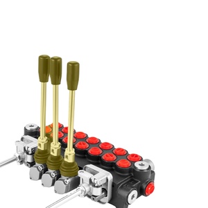 Van điều khiển hướng thủy lực monoblock 2 cuộn 11 cổng SAE GPM cho máy nông nghiệp - Product Image 5