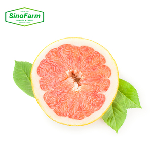 Pamplemousse <span class=keywords><strong>chinois</strong></span> prêt à exporter prix d'usine frais peau jaune Pomelo Fruits - Product Image 4