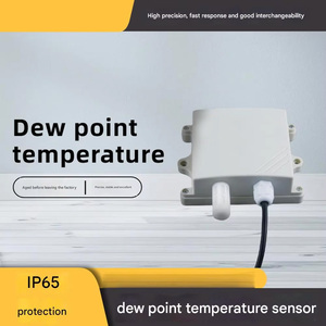 Độ chính xác cao nhiệt độ 485 độ ẩm thăm dò ngưng tụ sương nhà nước giám sát điểm sương cảm biến nhiệt độ cho - Product Image 2