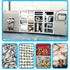Système de recyclage des déchets organiques à prix abordable en acier galvanisé pour élevages de volailles et d'incubateurs – Fabricant vietnamien - Product Image 5