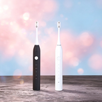 Achat en gros de brosses à dents soniques intelligentes rechargeables, étanches, avec logo personnalisé, étui de voyage portable, brosse à dents électrique
