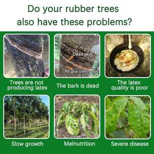 <span class=keywords><strong>ปุ๋ย</strong></span>น้ำอินทรีย์ที่ละลายน้ำได้ของโบรอนสูงสำหรับต้นยางช่วยส่งเสริมการผลิตน้ำ<span class=keywords><strong>ยาง</strong></span>ข้นและโภชนาการโดยรวม100% ความบริสุทธิ์ - Product Image 5