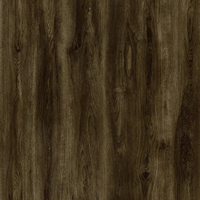 Technologie allemande 4mm 5mm 6mm Planche de vinyle imperméable à l'eau Carrelage LVT Piso Vinilico SPC Sol en plastique