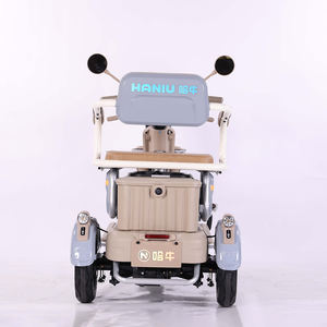 Haute qualité 48V/60V Tricycle électrique cyclomoteur adulte corps ouvert vélo électrique usine de gros - Product Image 3