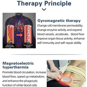 Produits pour la glycémie élevée, instrument thérapeutique spécial de physiothérapie, améliore les huit systèmes majeurs du corps humain - Product Image 4