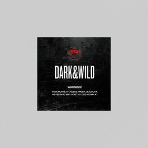 BTS 1er Album DARK WILD Officiel Kpop Merch Sealed Retail Bangtan Boys Debut Full Length CD Photobook 2014 Pop Korean HYBE - Product Image 2