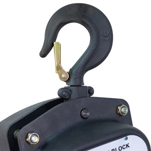 <span class=keywords><strong>2</strong></span> tấn 3 tấn thép chuỗi khối của nhãn hiệu hoist VD loại mới xây dựng hoist - Product Image 4