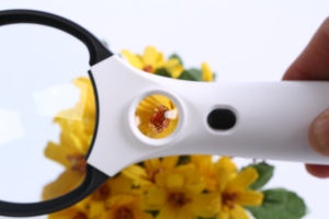 Loupe LED portative avec lentille en verre - Loupe <span class=keywords><strong>de</strong></span> bijoutier et loupe <span class=keywords><strong>de</strong></span> <span class=keywords><strong>lecture</strong></span> - Product Image 3