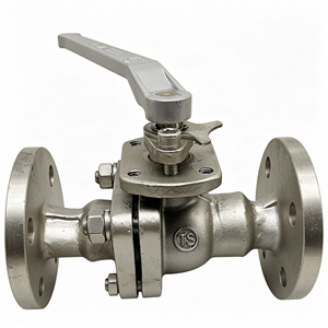 Vanne à boisseau sphérique monobloc en acier inoxydable SS304, filetage NPT/BSP femelle, passage pleine largeur, pour eau, gaz, huile, air, avec levier d'arrêt, durable, kit d'utilisation - Product Image 1