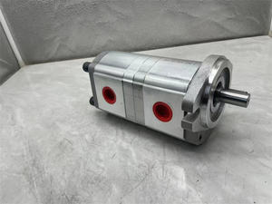 ماكينة قولبة الحقن HYDROMAX المزدوجة من + 13R-2B مضخة تروس Hong جديدة - Product Image 6