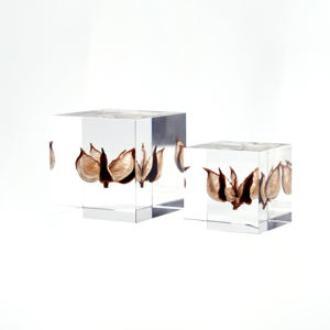 60*60mm Cube Spécimen Clair Acrylique Incorporation Décoration de La Maison <span class=keywords><strong>Creative</strong></span> Nature Presse-papiers Artefact Bloc - Product Image 6