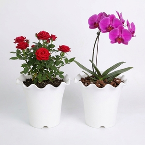High Quality Tall PP <b>Plastic</b> Plant Pots Ruffled Scalloped Top <b>Edge</b> Decorative Planter with Drainage for Orchids Florist Bulk - Product Image 1
