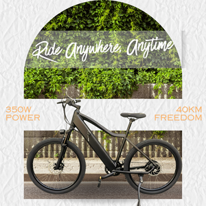 Bicicleta Eléctrica Wanderer Eel con Batería en el Tubo Inferior, Alcance de 40 km, 350w, Disco de Litio, 7 Velocidades, para Desplazamientos Diarios y Paseos de Ocio - Product Image 2