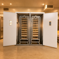 Incubateur automatique d'œufs de poule, nouveau modèle 8000 pour volaille industrielle à vendre ferme