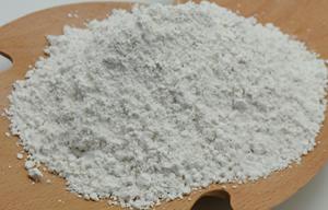 Suministro de grado alimenticio de extracto de hierba de rocío y extracto de raíz de Cyanotis Arachnoidea 10%-90% polvo de Beta ecdisterona - Product Image 3