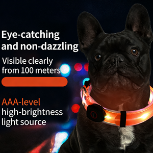 Collare LED per Cani, Collare Luminoso per Animali Domestici, Guinzaglio Regolabile Ricaricabile USB, Super Luminoso per Sicurezza Notturna, per Cani Piccoli, Medi e Grandi - Product Image 1