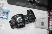 Appareil photo hybride plein format HFT Professional EOS R8 24,2 MP (boîtier seul) – Vente en gros