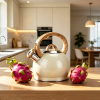 Bouilloire sifflante en acier inoxydable, théière personnalisée en gros, théière à eau chaude pour TOUTES les plaques de cuisson