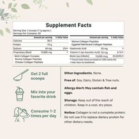 Poudre de collagène multiple en gros avec supplément de vitamine C, étiquette personnalisée, stock en vrac pour adultes