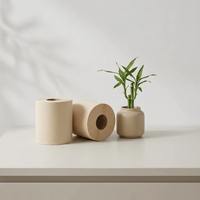 Nouvelle Arrivée Papier Toilette Biodégradable Écologique en Pulpe de Bambou 2 Plis Gaufré Doux et Jetable
