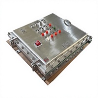 Caja de Control a Prueba de Explosiones IP66 SS316L Ex Db IIB T6 Gb AC220V 32A LD-BKC 800*350*850mm, Gabinete Eléctrico Industrial para Petróleo