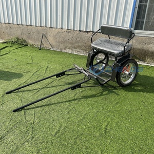 Carroza Eléctrica de Dos Ruedas Zhenda con Estructura de Tubo Galvanizado - Product Image 3