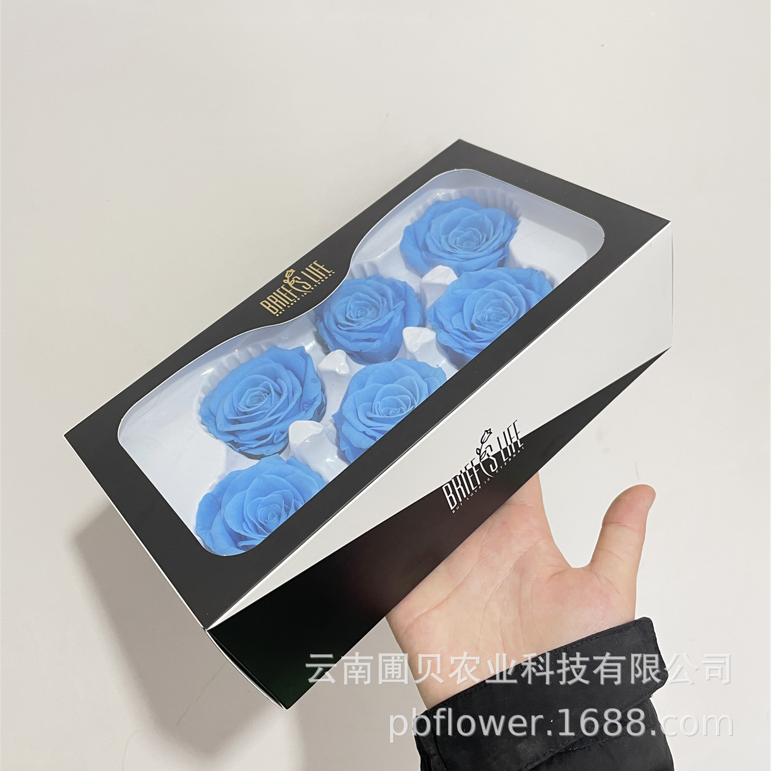 Bleu-6 paquets