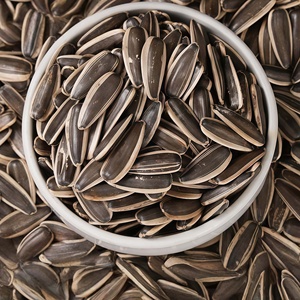 Semi di Melone Salati Tostati 363, Origine Shandong, Fornitura Diretta dalla Fabbrica, 158g/Sacchetto, Vendita all'Ingrosso - Product Image 3