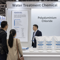 Chlorure de polyaluminium en poudre blanche PAC 30% pour la purification de l'eau des réservoirs