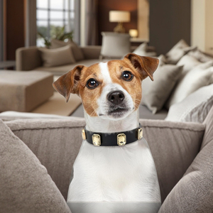 Collare <span class=keywords><strong>per</strong></span> <span class=keywords><strong>Cani</strong></span> Fatto a Mano <span class=keywords><strong>in</strong></span> Pelle Vegana Nera con Cristalli, Collare Regolabile <span class=keywords><strong>in</strong></span> Pelle con Fibbia <span class=keywords><strong>in</strong></span> Lega, Collare Classico <span class=keywords><strong>per</strong></span> Animali Domestici - Product Image 4