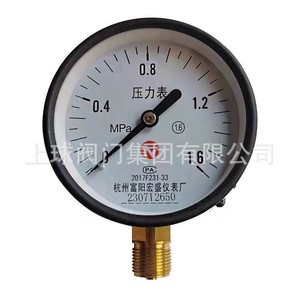 Manomètre Hangzhou Fuyang Hongsheng Y100 1,6 MPa en acier pour réservoir d'air radial et mesure de pression d'eau - Product Image 1