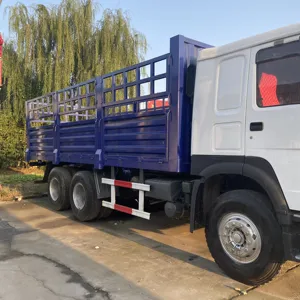 Howo 6X4 dizel manuel Euro 4 emisyon standart kargo kamyonu