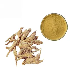 Hot selling Top quality Angelica sinensis extract powder Dong Quai extract 0.6%- 1% Ligustilide
