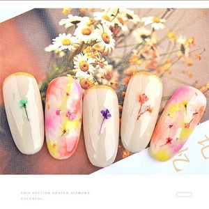 Fleur séchée pour les ongles, 1 boîte, 3D, vernis à ongles <span class=keywords><strong>Gel</strong></span> UV, naturel, autocollants de fleurs séchées - Product Image 5