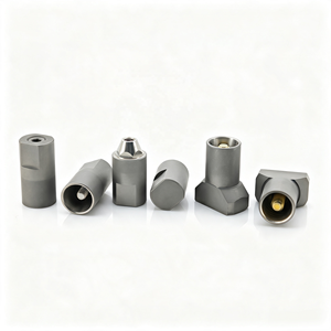 Tige d'acquisition intra-orale pour implants Straumann, PEEK Scanbody, Nobel, Zimmer, DIO, Dentium, Osstem, Bego, ICX, ADIN, Cortex - Product Image 5
