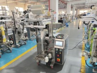 Mini Machine d'emballage automatique pour pommes de terre, pk fruits, Cassava, pommes de terre, casse-croûte, substance gélatineuse, nouveauté