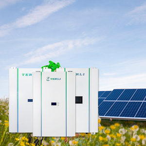 Home Battery Storage Lifepo4 Battery Wall Customized 20kwh Powerwall 10kwh 5KWh 48v Home Lithium Battery Solar Storage 200ah 150ah 100ah 50ah 3Kwh Lifepo4 Power Wall